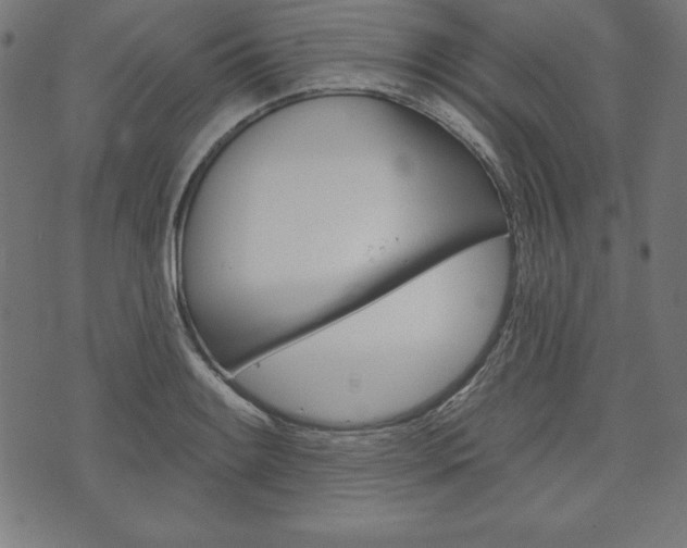 X0000073971084200608210937