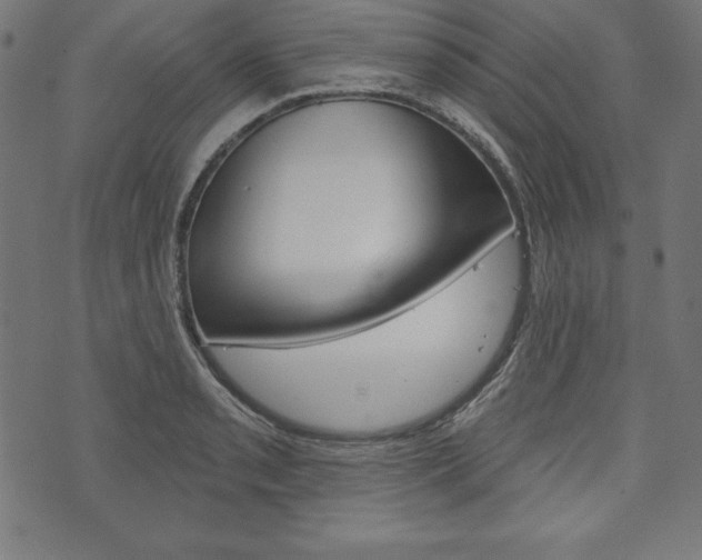X0000073971085200608210937