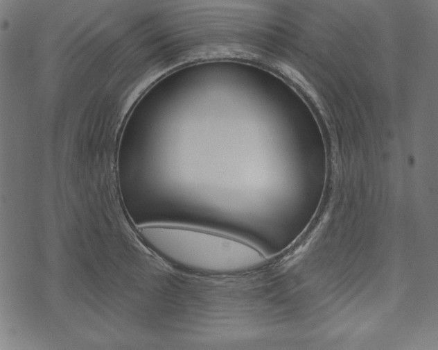 X0000073971089200608210937