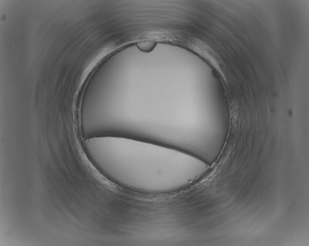 X0000073971091200608210937
