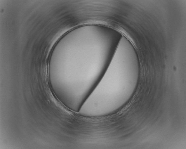 X0000073971092200608210937