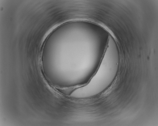X0000073971101200608210937