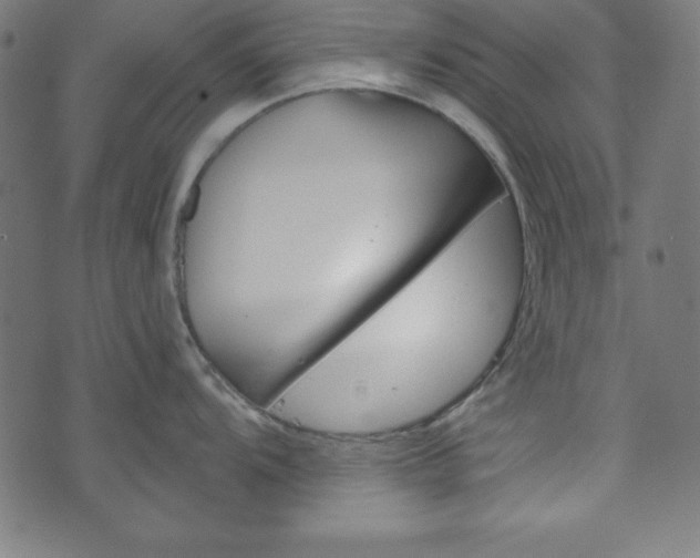 X0000073971104200608210937