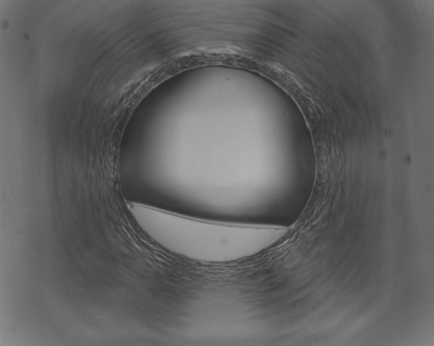 X0000073971110200608210936