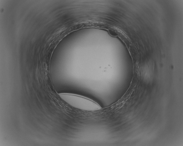 X0000073971111200608210936