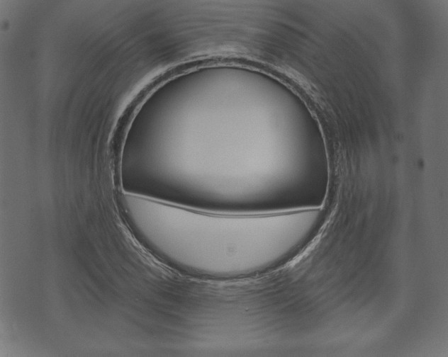 X0000073971118200608210937