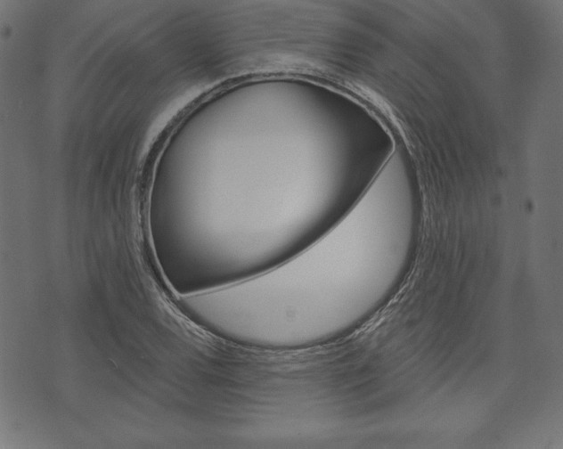 X0000073971120200608210937