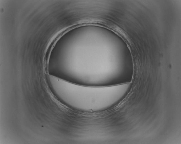X0000073971124200608210937