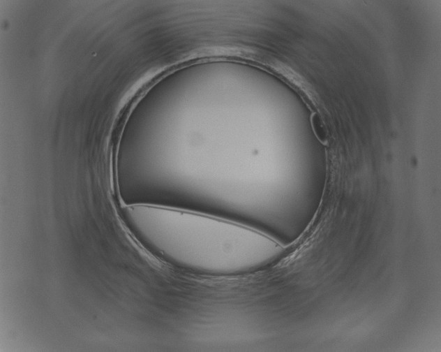 X0000073971127200608210937