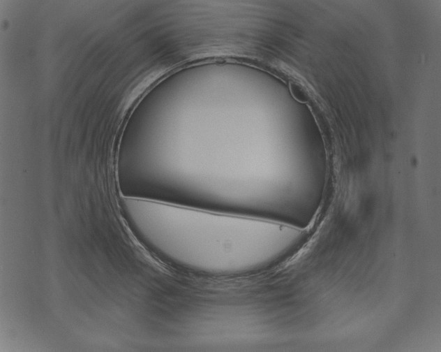 X0000073971129200608210937