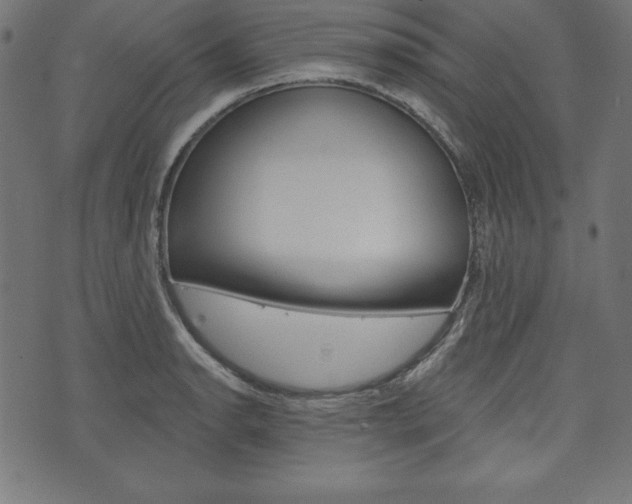 X0000073971134200608210937