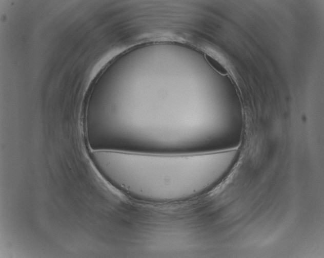 X0000073971141200608210937