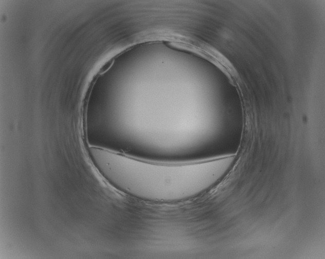 X0000073971144200608210937