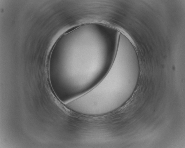 X0000073971148200608210937