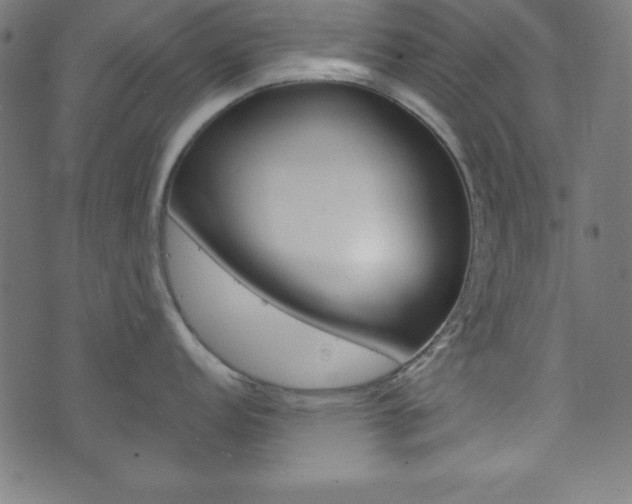 X0000073971152200608210937