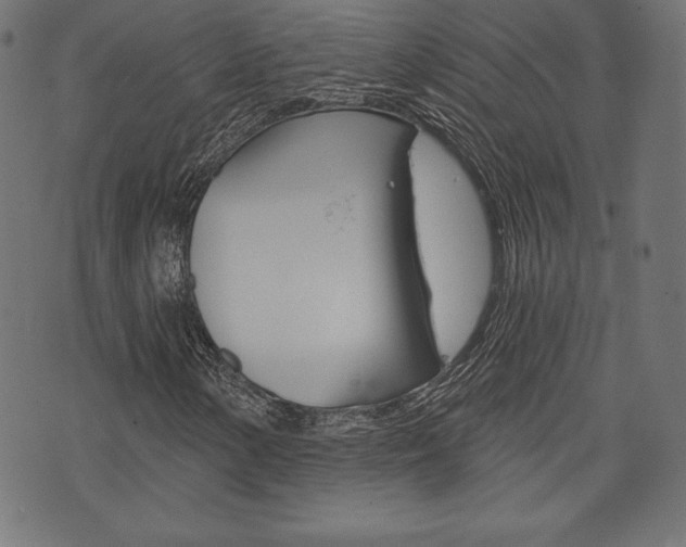 X0000073971154200608210936