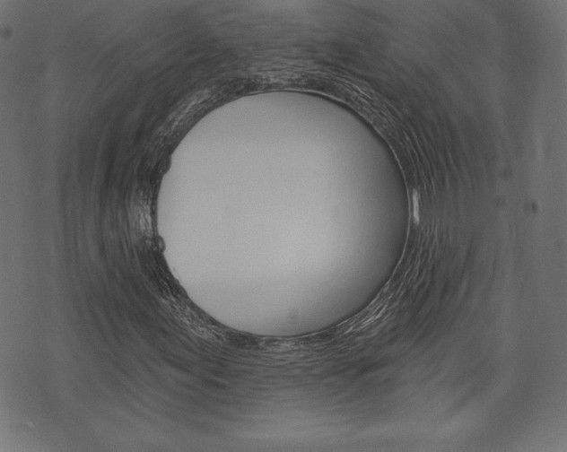X0000073971155200608210936