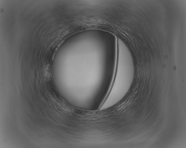 X0000073971156200608210936