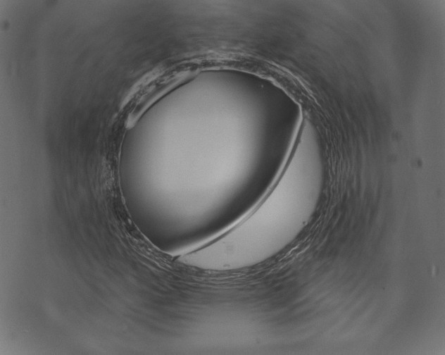 X0000073971160200608210936