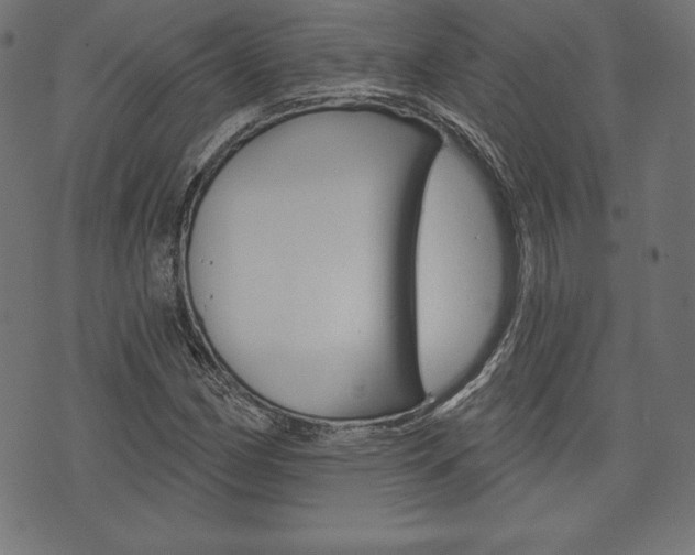 X0000073971162200608210936