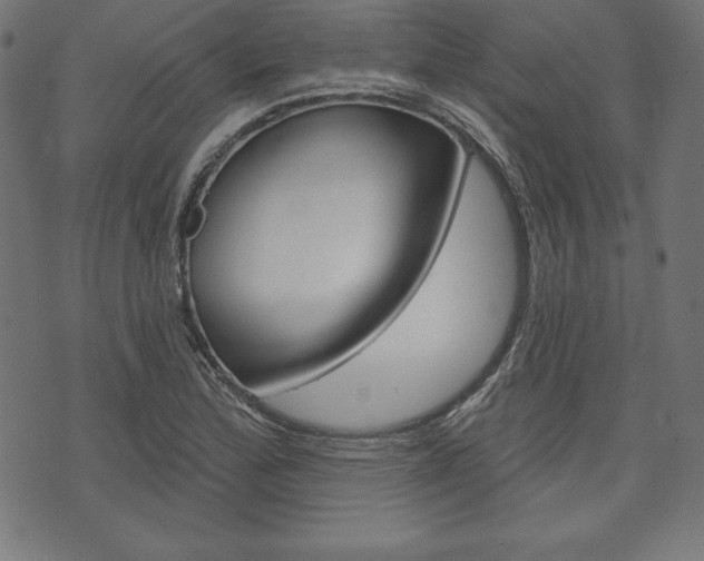 X0000073971172200608210936