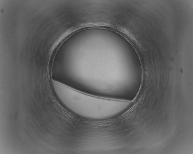 X0000073971173200608210936