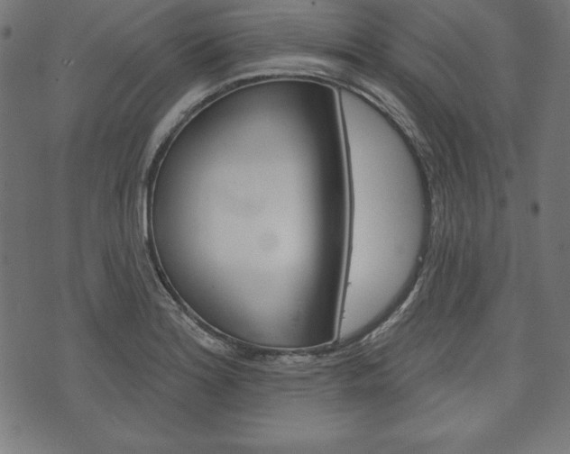 X0000073971180200608210936