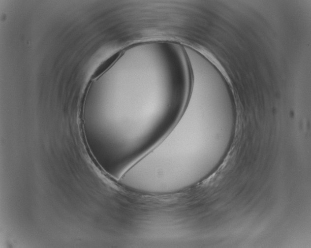 X0000073971197200608210936