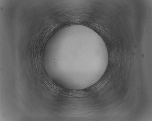 X0000073971201200608210935