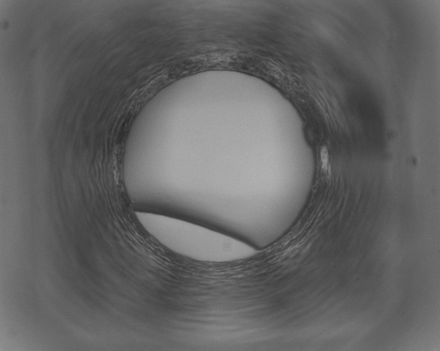 X0000073971203200608210935