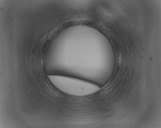 X0000073971204200608210935