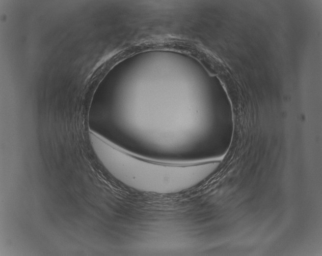 X0000073971206200608210935