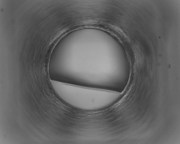 X0000073971209200608210935