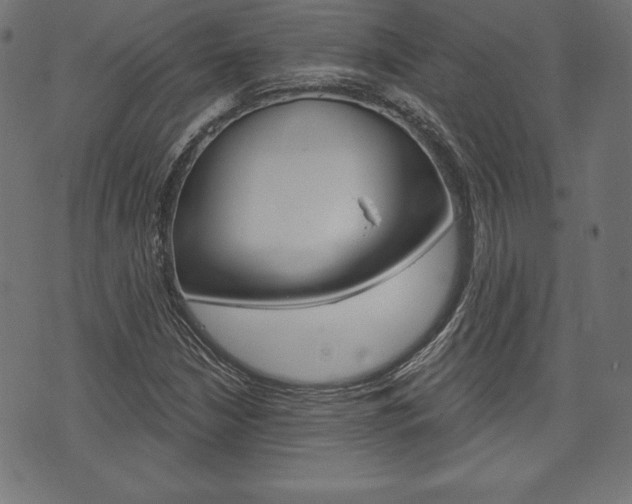 X0000073971210200608210935