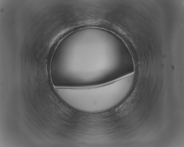 X0000073971214200608210935