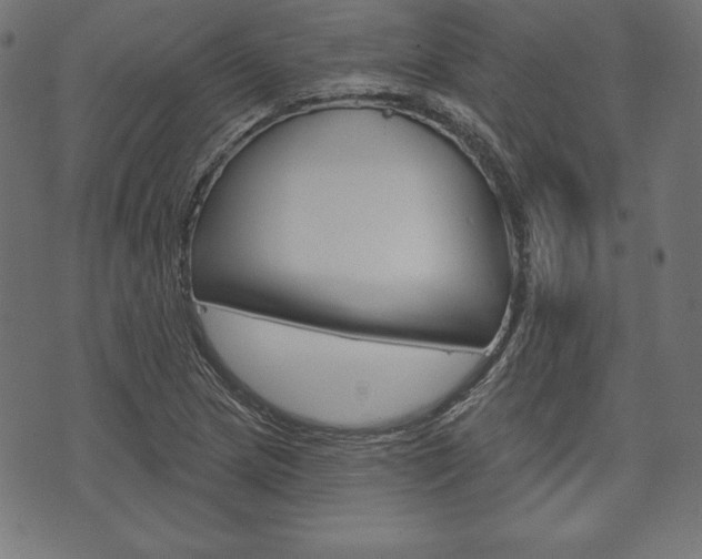 X0000073971217200608210935