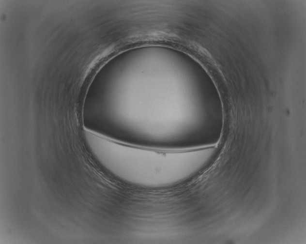 X0000073971218200608210935