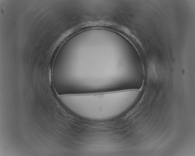 X0000073971221200608210935