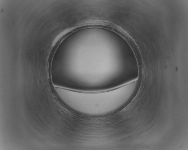 X0000073971222200608210935