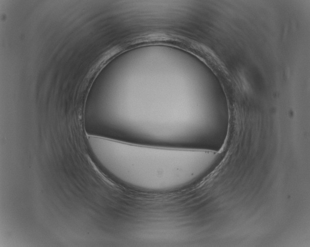 X0000073971225200608210935
