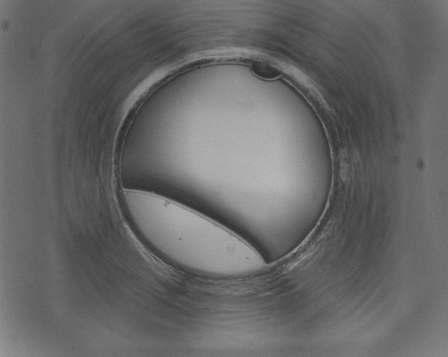 X0000073971229200608210935