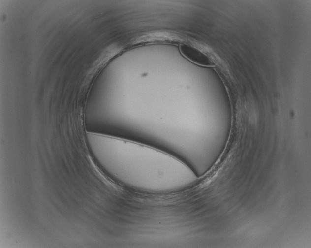 X0000073971233200608210935