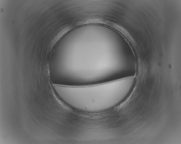 X0000073971241200608210935