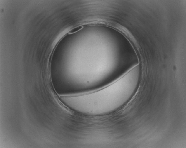 X0000073971242200608210935