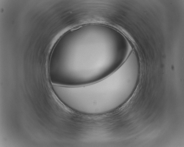 X0000073971246200608210935