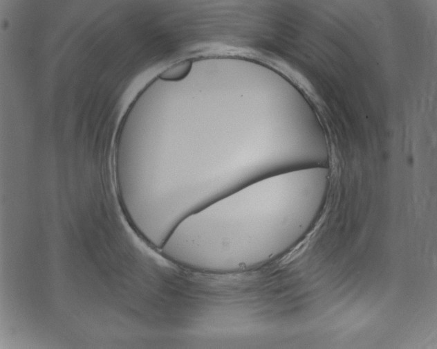 X0000073971247200608210935