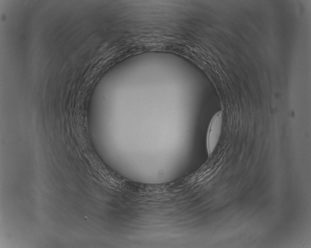 X0000073971249200608210935
