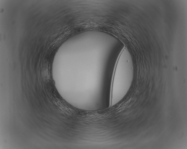 X0000073971250200608210935