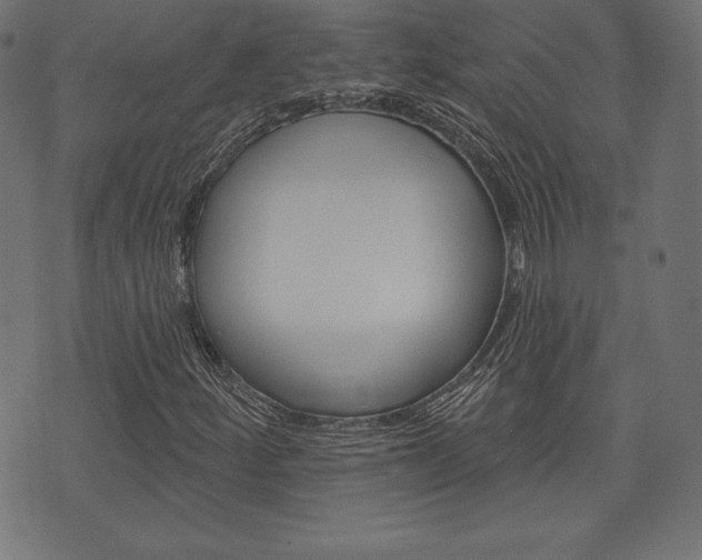 X0000073971252200608210935