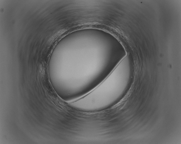 X0000073971257200608210935
